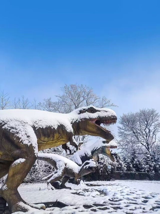 邂逅海子山的雪，邂逅一場夢幻