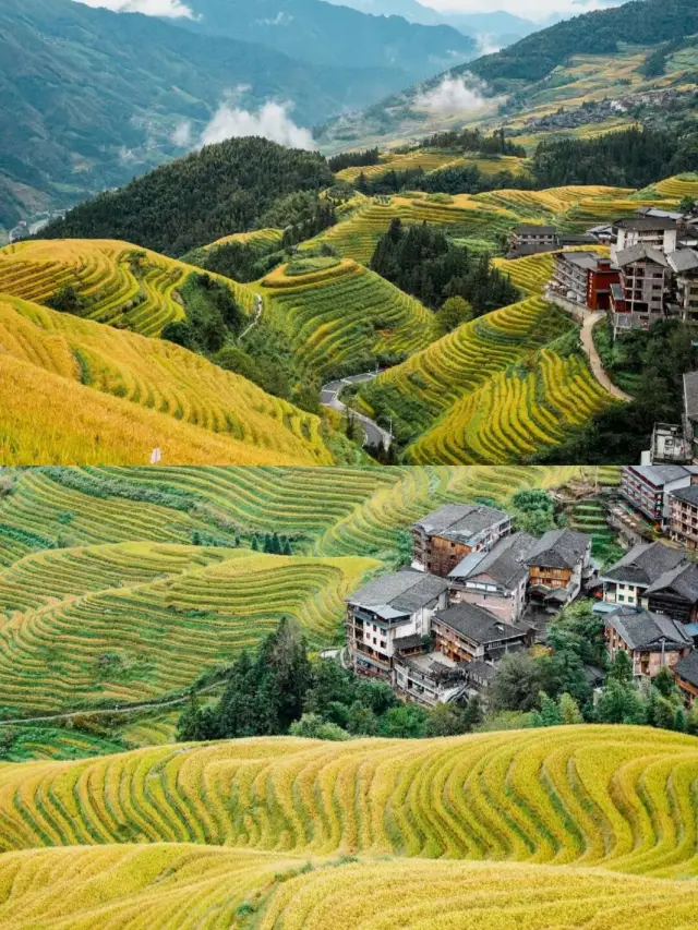 Longji Rice Terraces, Guilin, Guangxi: A rice field painting in the mist