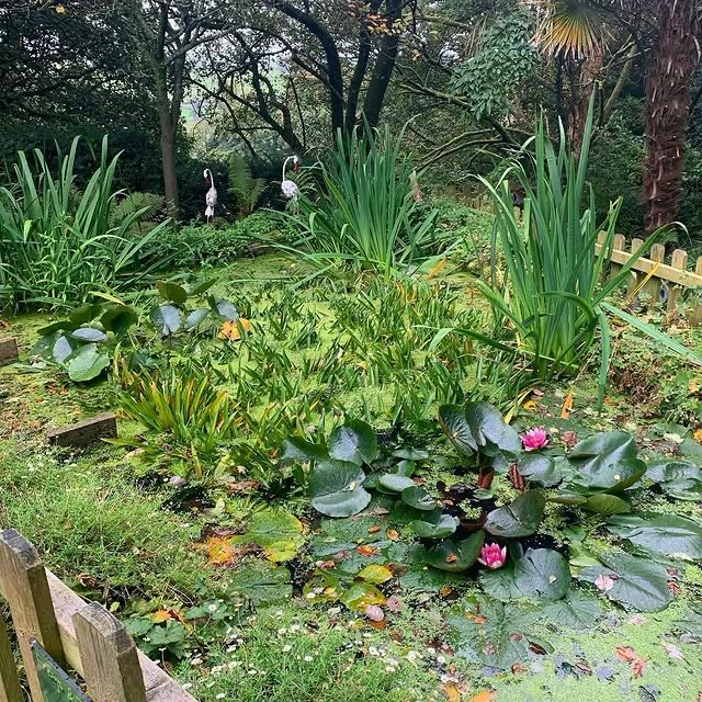 "迷失在綠意中的詩意：蘭開斯特威廉森公園" 