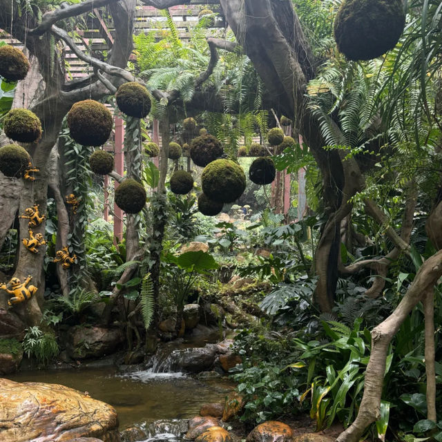 南寧｜為看這個球狀植物，我特地去了一趟青秀山