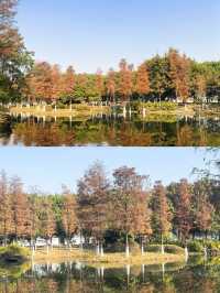 水墨園變成了「水鏡園」，景色太美啦!