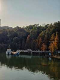 #中山金鐘湖公園：迷人湖景