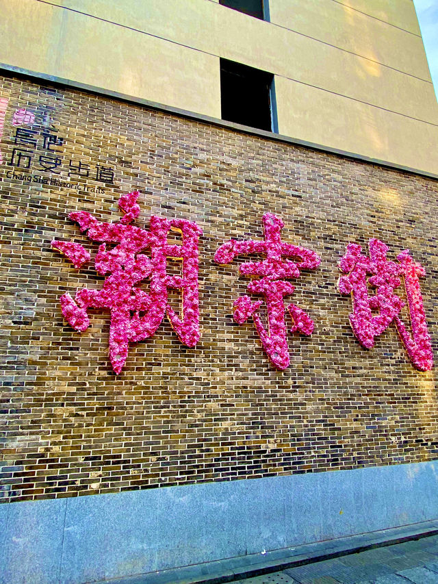 Summer in Changsha!