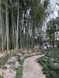 秋霞圃｜上海著名古典園林，一步一景，秀色迷人