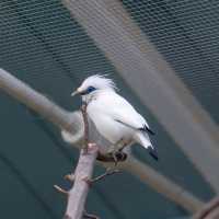 Explore the Wonders of London Zoo