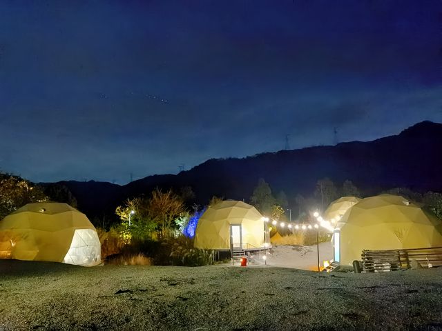 廣州周邊| 來一場古樹森林月球之旅