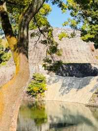 日本6日遊 真溫泉之旅愜意享受
