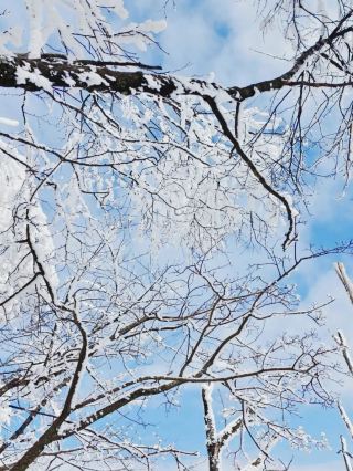 在光霧山，邂逅冬日限定的童話夢境