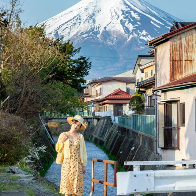 不跟風真的超爽！私藏富士山景位攻略✨ 