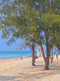 5D4N Beihai Travel in China