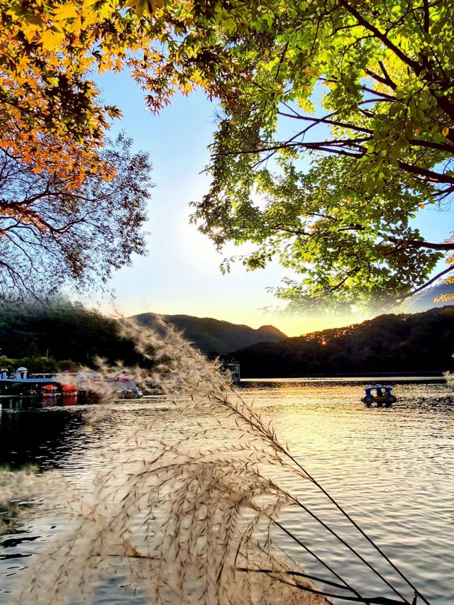 韓國抱川市山井湖水，秋季浪漫打卡地！