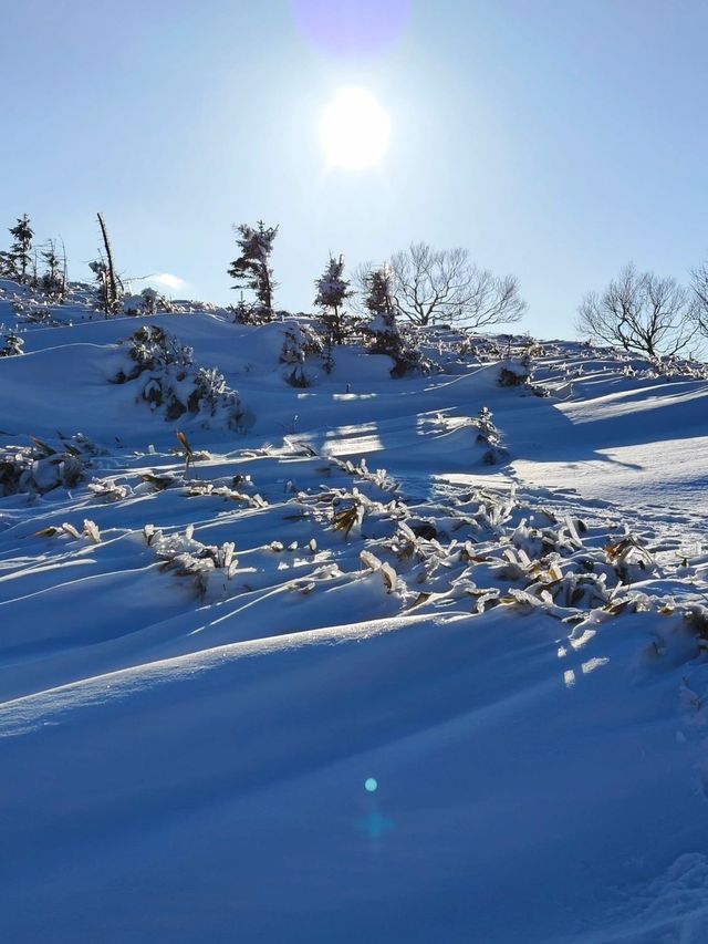 6日深度遊日本 真溫泉體驗大揭秘