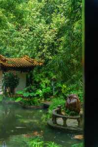 不輸蘇杭，陰雨天的廣州蘭圃美如畫～