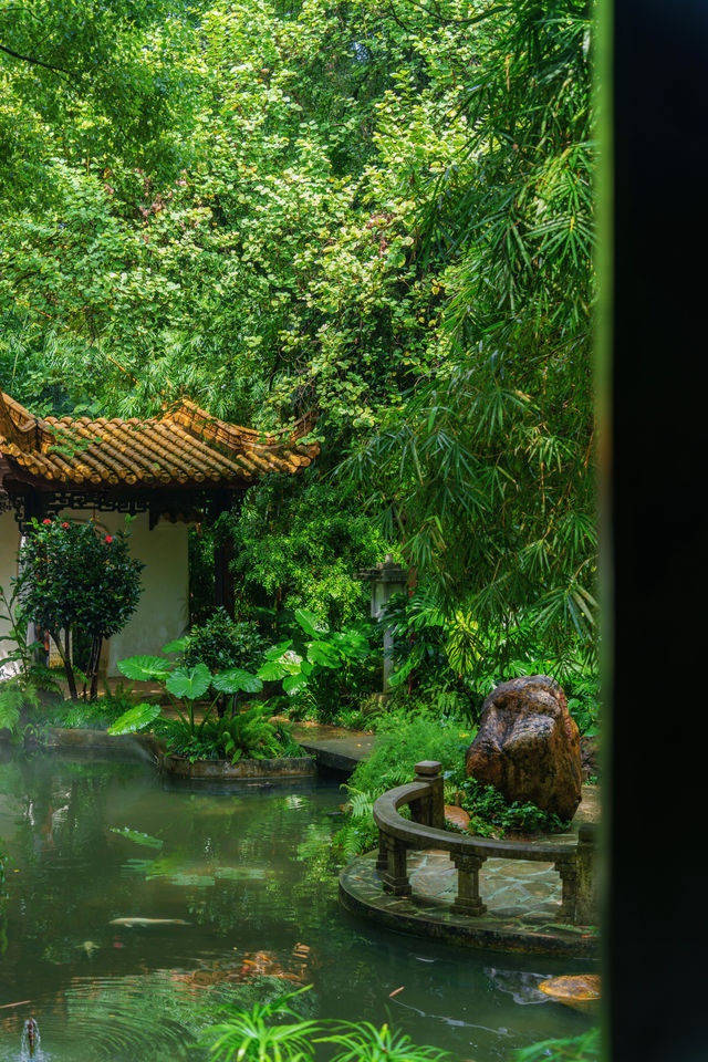 不輸蘇杭，陰雨天的廣州蘭圃美如畫～
