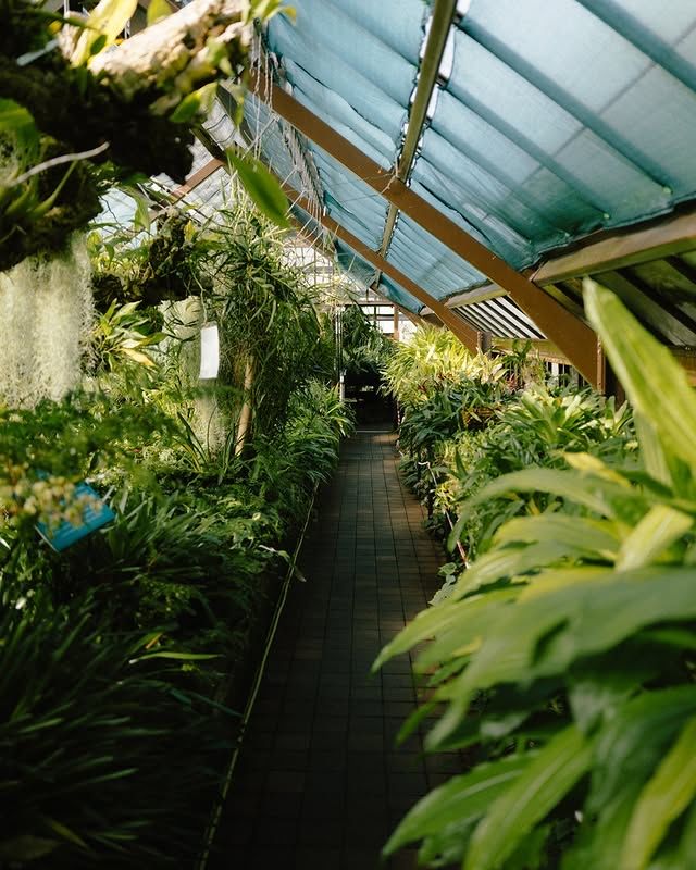 瑞典隆德植物園：在綠意盎然的自然中，放鬆心靈 