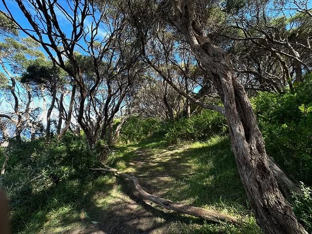 澳洲索倫托國家公園