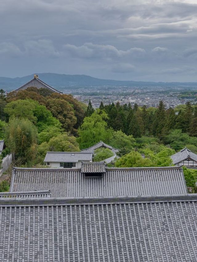 🔥3日玩轉日本攻略出爐！保證你未試過！