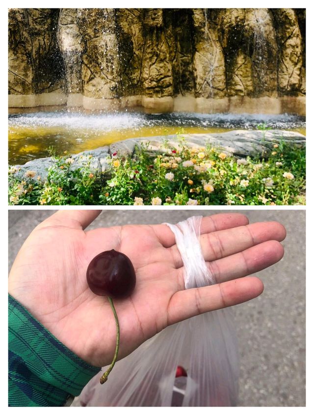 土耳其安卡拉，被低估的寶藏之城。