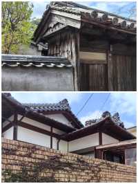 日本對馬市：神秘的海上秘境，一趟別樣的日本之旅