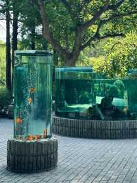 上海動物園｜值得反覆去的好地方