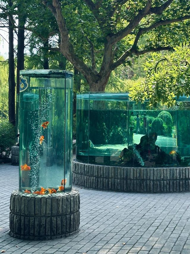上海動物園｜值得反覆去的好地方