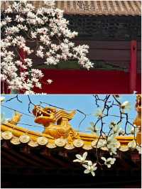 南京朝天宮旅遊攻略