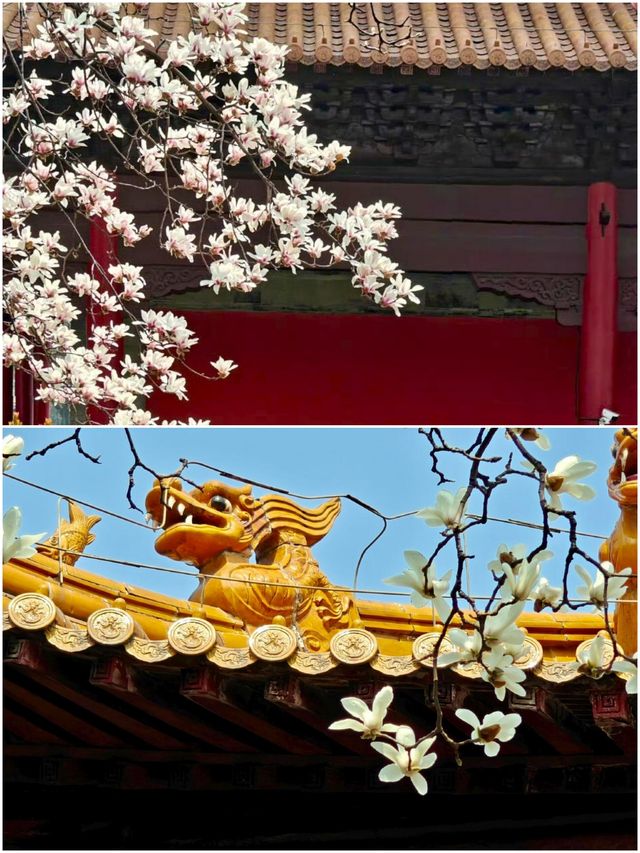 南京朝天宮旅遊攻略