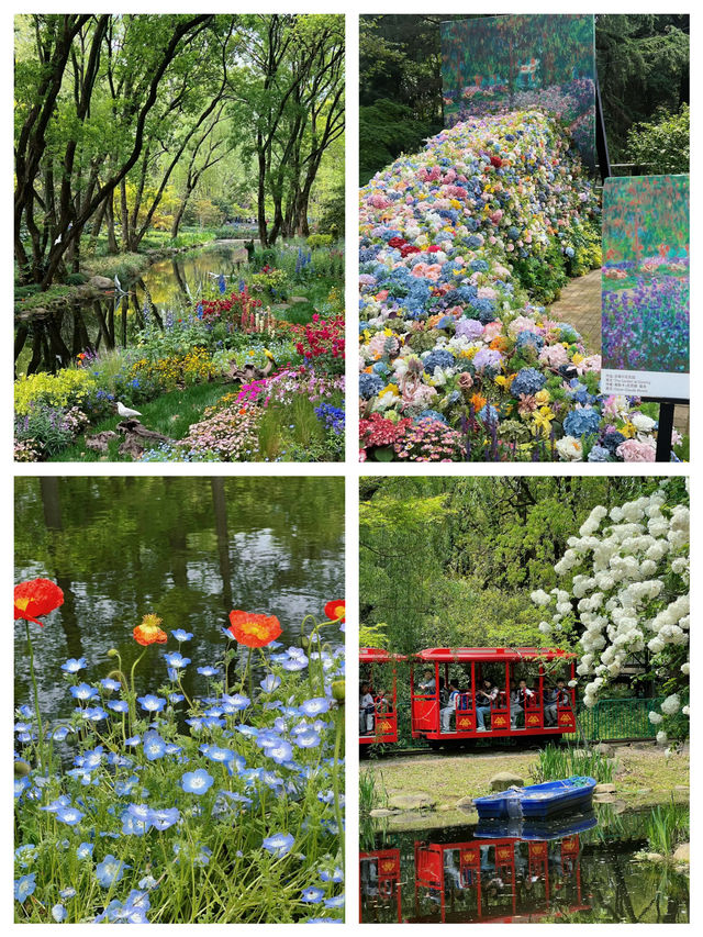 《3月上海莫奈花園，邂逅浪漫春光》