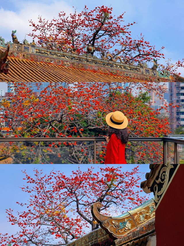 3.11實拍國畫裡的春色滿園關不住