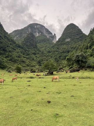 No need to go to Altay anymore, I've already found a comparable alternative in Liuzhou, Guangxi.