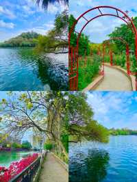 3月，一定要去一趟東湖公園！