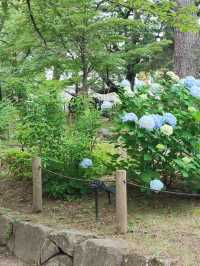 小倉城與松本清張紀念館一日遊：歷史與文學的交織之旅🏯📚