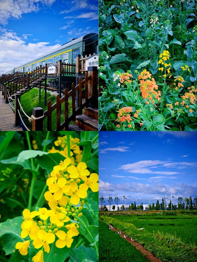 昆明沙堤村，闖入油畫世界