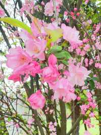 一日遊 | 攻略安寧玉龍灣景區寵物友好公園