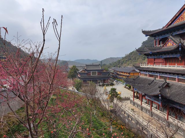 東華寺祈福·遇見繁花