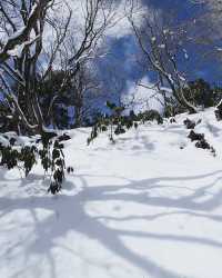 日本・四日市|鈴鹿山脈：探索三重縣最美麗的山岳風光！