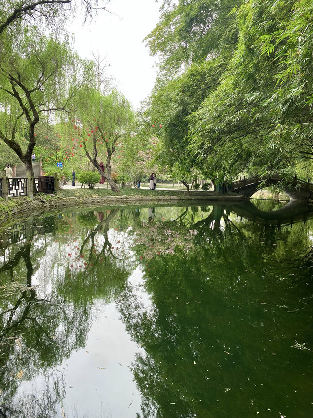 救命呀！成都呢個公園已經被花海包圍咗
