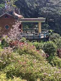 綠意低吟：富陽自然生態公園的晨光漫步
