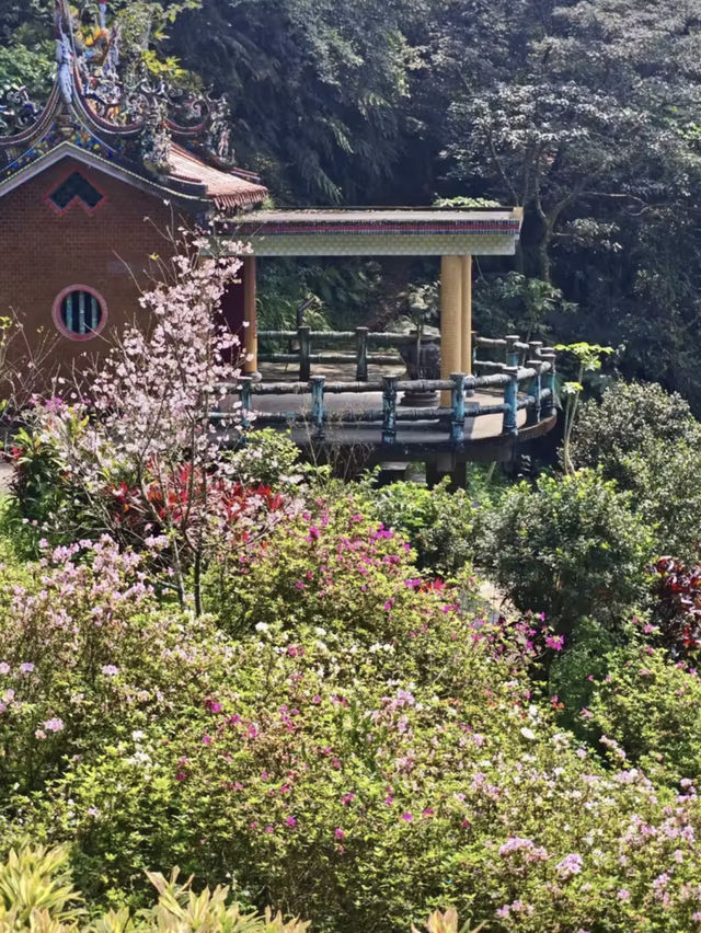 綠意低吟：富陽自然生態公園的晨光漫步