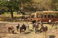 巴厘島野生動物園：與自然共舞的奇幻之旅