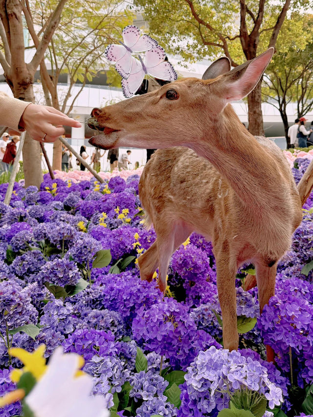 🌷珠海爆火！城市客廳美翻了，快來打卡📸