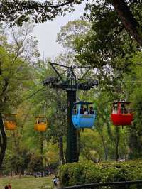 Huishan Ancient Town – Scenic & Historic