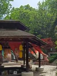 浸入天然溫泉，解鎖養生新姿勢｜天沐溫泉度假村