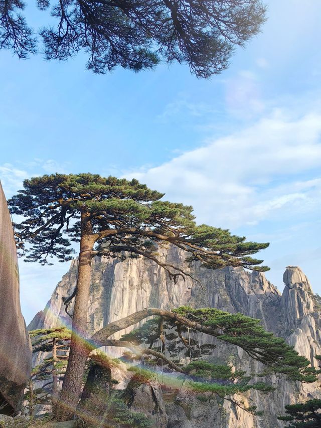 黃山風景區美的有多令人震撼？衝鴨！！！