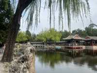 漫步皇家山水，邂逅千年詩意——頤和園春日沉浸式文化漫遊筆記