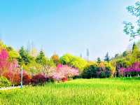 觀山湖公園 | 邂逅城市綠肺,開啟一場治癒的吸氧之旅