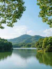 ### 東莞旅遊攻略：四大必打卡景點，感受古今交融的魅力
