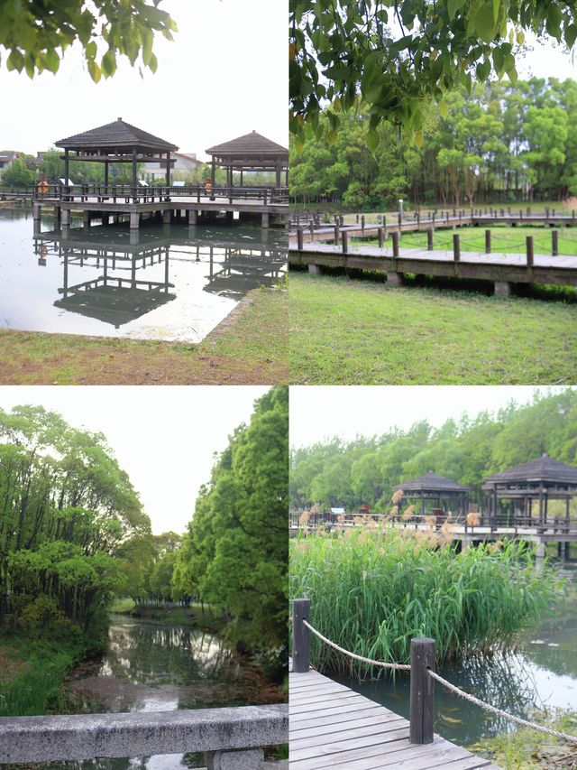五一短途度假｜親子遊住進昆山濕地氧吧酒店