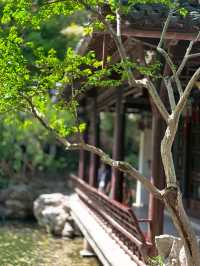 一座古典園林的傳奇故事