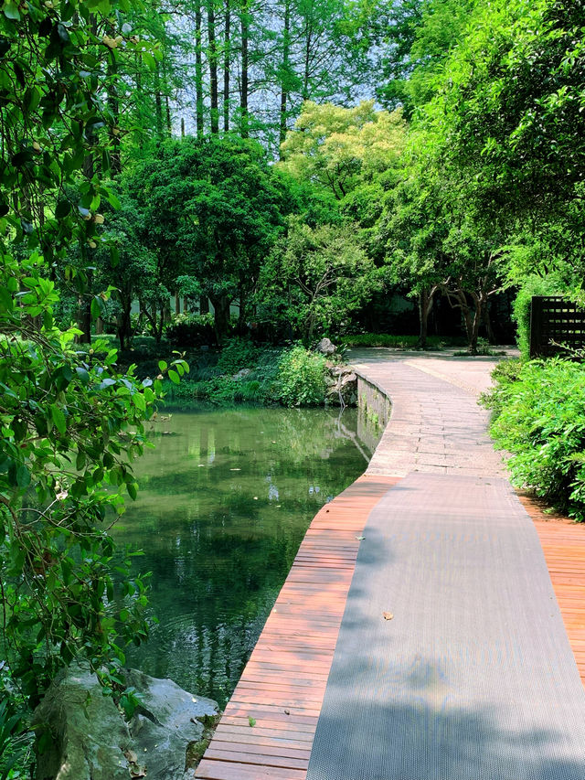 藏在杭州清河坊的春日浪漫，桃花開成海
